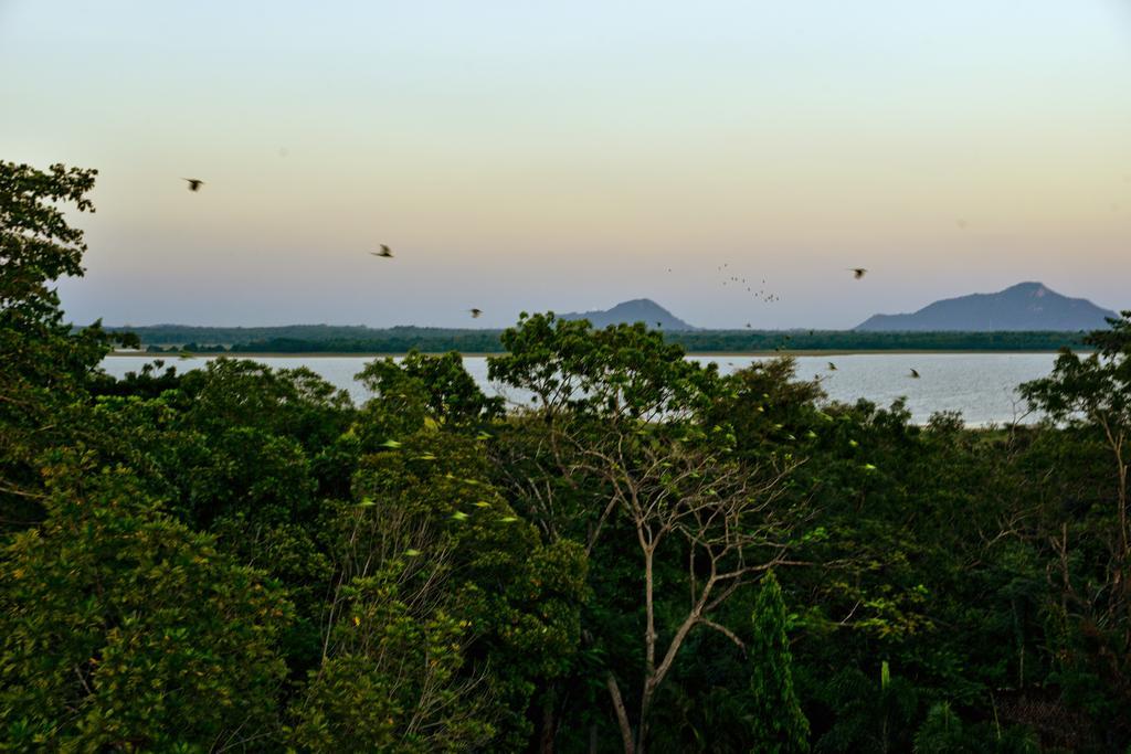 Ceylan Lodge Anuradhapura Dış mekan fotoğraf